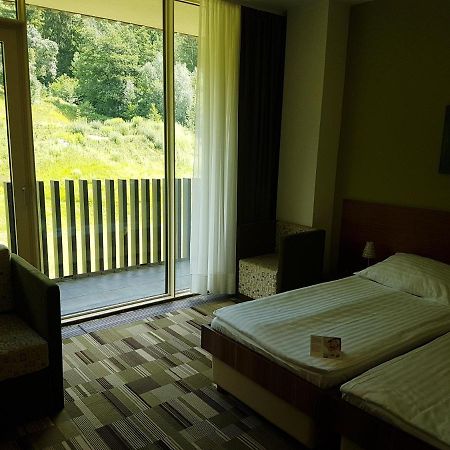 Lambergh Chateau & Hotel Dvorska Vas ภายนอก รูปภาพ