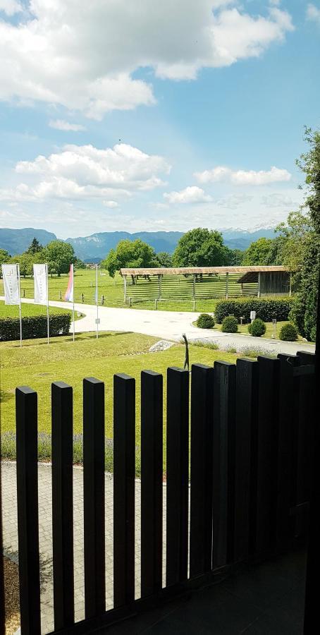 Lambergh Chateau & Hotel Dvorska Vas ภายนอก รูปภาพ