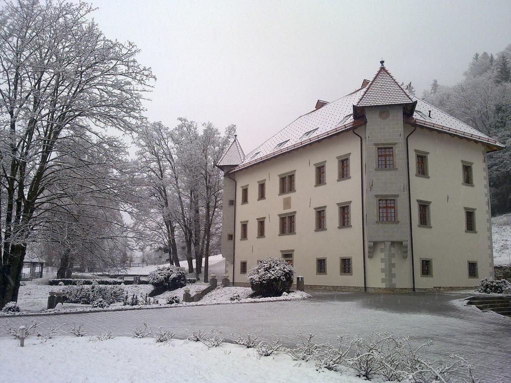 Lambergh Chateau & Hotel Dvorska Vas ภายนอก รูปภาพ
