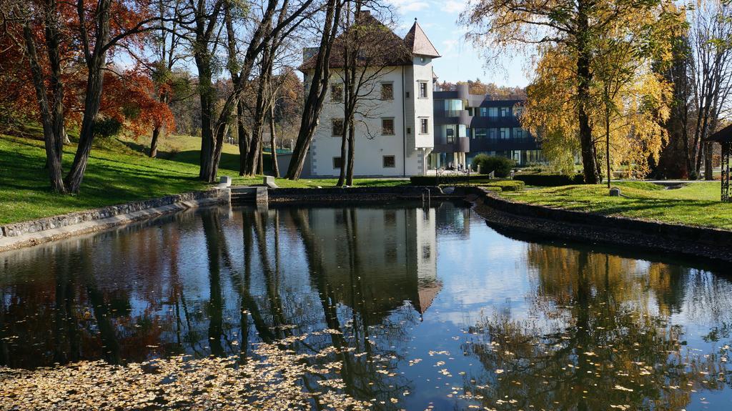 Lambergh Chateau & Hotel Dvorska Vas ภายนอก รูปภาพ
